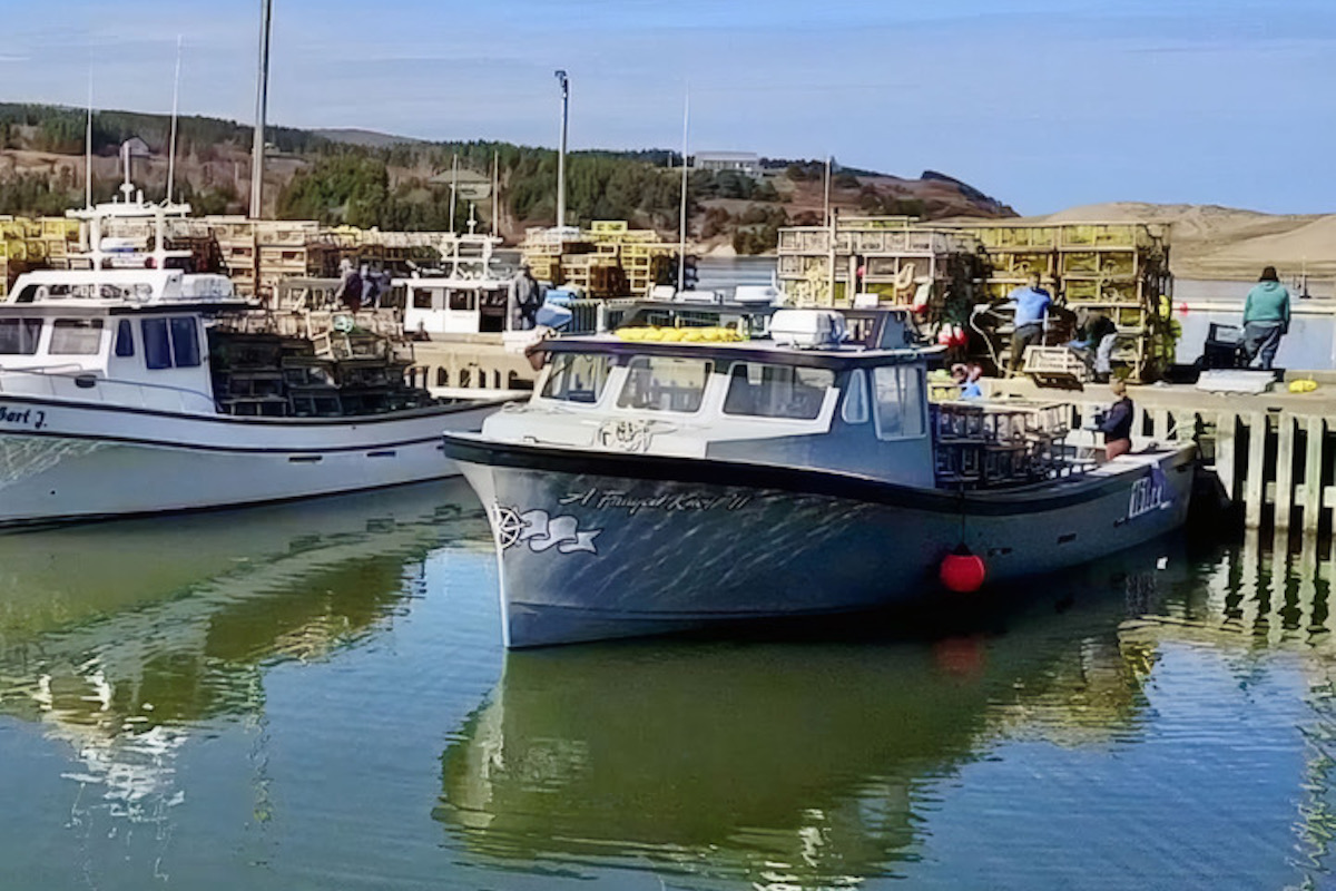 Women of the water: Thriving in the fishing community