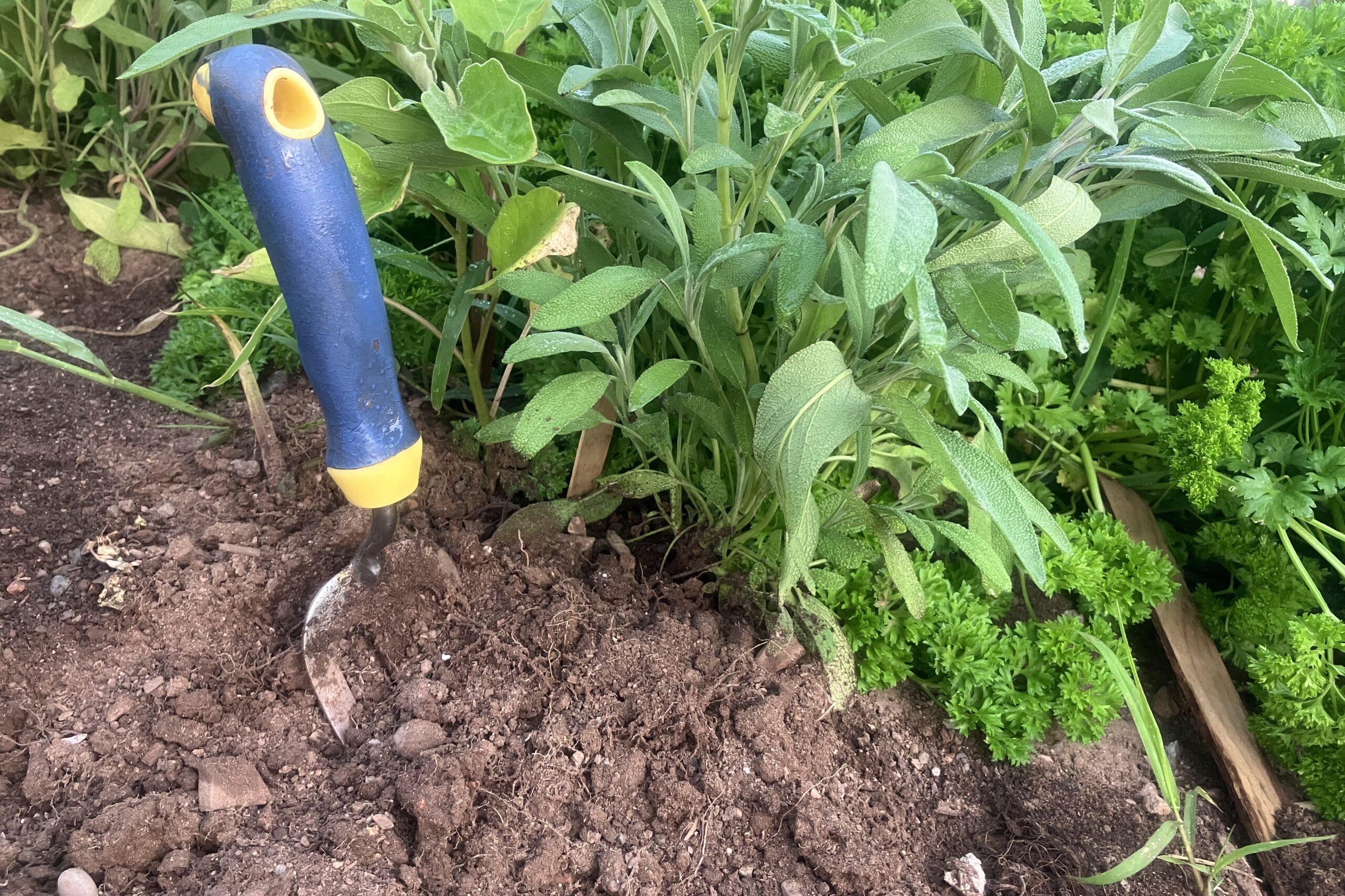 Gardening from the underside…