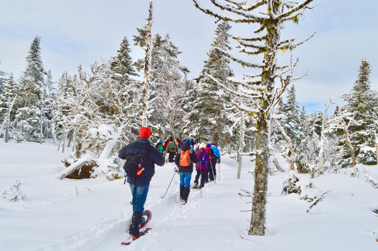 Snowshoeing: the ideal activity to enjoy the beauty of winter
